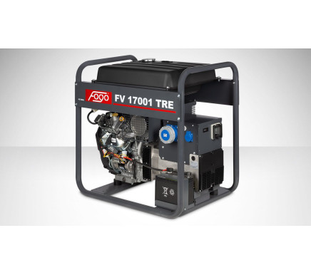 Generator Set FV17001TRE 1ph-14.9kW Engine B&S, Electric Start